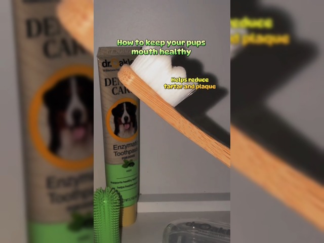 best dog toothpaste for bad breath