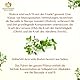 Maharishi Ayurveda Brahmi 60 Tabletten | 100% Natürlich und Vegan | Bacopa Monnieri-Extrakt | Pack von 1 (60 Tablette (Pack von 1), Bio)