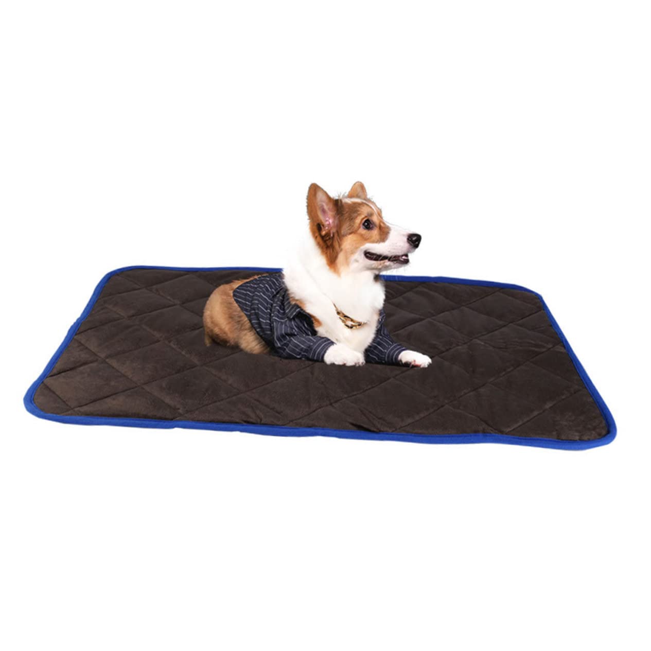 FOMIYES Tapis Chauffant pour Animaux de Compagnie Autochauffant Hiver