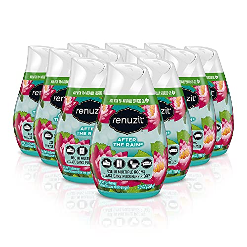 Renuzit - 1716906 03663 Adjustables Air Freshener, After the Rain Scent, Solid, 7 oz (Case of 12)