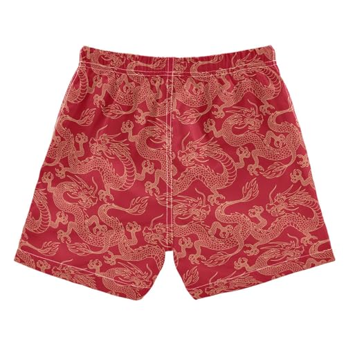 Boys Swim Trunks 2-12 Years Board Shorts Little Boys Toddler Dragon Swimwear Shorts2