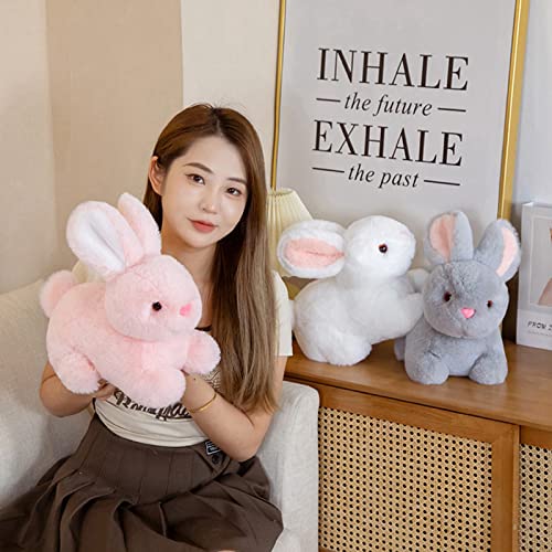 Honrane 15/20/30Cm 2023 Rabbit Mascot Stuffed Animal Doll, Chinese New Year Plush Toys Gift, Rabbit Doll Toy 3D Eyes Bunny Doll Ornament Rabbit Plush Doll Keychain Pendant Black S #TOP3