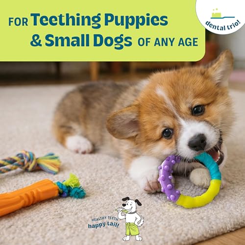 Image of Orka Puppy 3 Pack Dental Chew Toys, Multi-Textured, Tug Rope & Fetch, Teething Puppies & Small Dogs, 10.5 inch