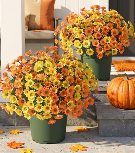 Image of HyeFlora Artificial Mums for Outdoors Fall Decor, 6 Bundles Fake Flowers UV Resistant Realistic Faux Flowers Bouquet Silk Flowers for Outside Planter Porch Patio Garden Yard Balcony Home, Mix