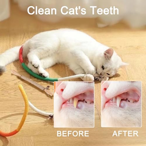 2 Stück Katzenminze Spielzeug – Interaktives Katzenspielzeug mit 2 Beißseilen und 4 Catnip Sticks – Fördert Katzen Zahnpflege und Selbstbeschäftigung – Perfekt für aktive Katzen, Katzenminze Stick.