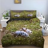 Funda Nordica Cama 90 Cerdo, Ropa de Cama 135x190 cm y 2 x Fundas de Almohada OPQ5105