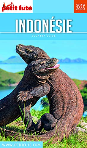 Télécharger INDONÉSIE 2019/2020 Petit Futé (Country Guide) Gratuit