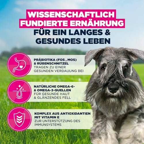 Eukanuba Hundefutter Trocken mit frischem Huhn für kleine Rassen, Premium Trockenfutter für ausgewachsene Hunde, 15 kg
