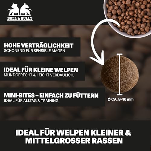BULL & BULLY – Baby Beute 10 kg Hundefutter Trocken Getreidefrei – Trockenfutter & Hundeleckerli mit kleinen Kroketten für Welpen & kleine Hunde – Dog Food & Leckerlis mit viel Protein aus Beef