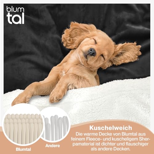 Blumtal Premium Sherpa Kuscheldecke flauschig 150x200 cm - Oeko-Tex zert. Sofa Decke mit Dicker Sherpa-Innenseite - super Flauschige Decke extra dick und wärmend - Plüschdecke - Anthrazit