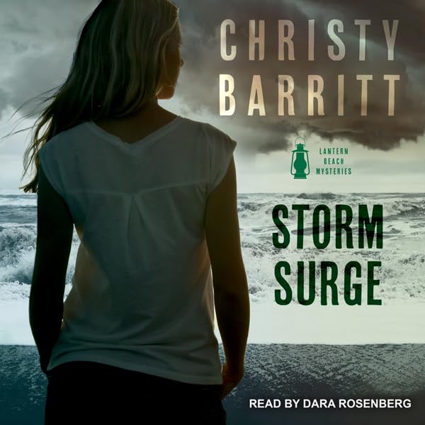 Cover art for Storm Surge