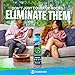 FunkAway Smoke Odor Eliminator Spray for Air, 3.4 oz., Eliminates Extreme Cigarette, Cigar and Campfire Smoke Odors, Instantly Refresh Smoky Air