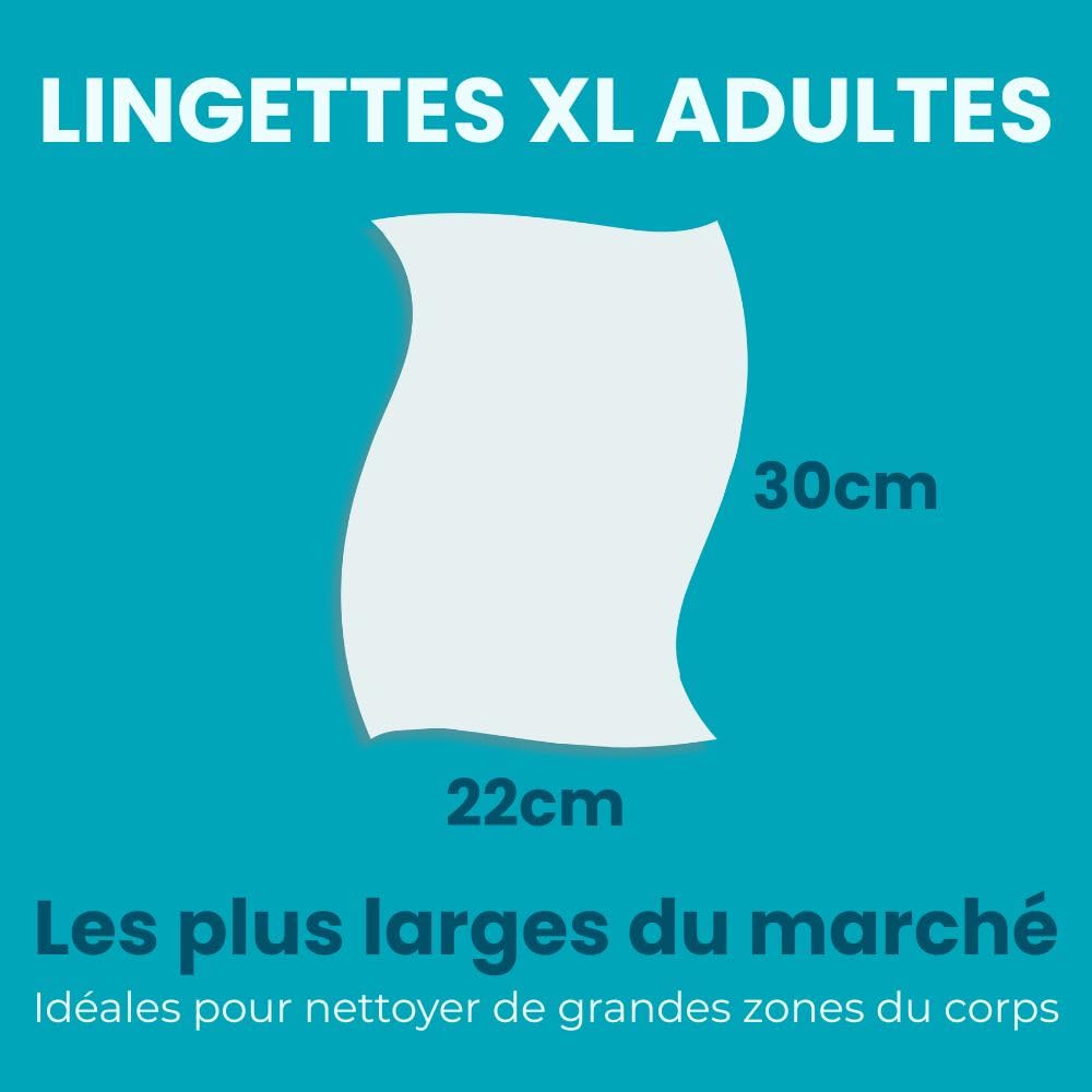 Dailee Lingettes Hygiène Adulte XL - 288 Lingettes Corps Nettoyantes Humides pour Incontinence et Hygiène Intime - Adultes, Personnes Agées, Patients Alités - 6 Paquets