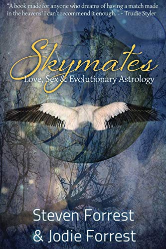 Télécharger Skymates: Love, Sex and Evolutionary Astrology PDF