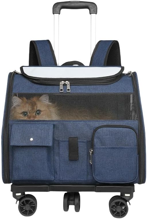 未使用】ポタリカ工房 清水桐子 黒猫と蝶の陶器皿 ② 猫 鉢