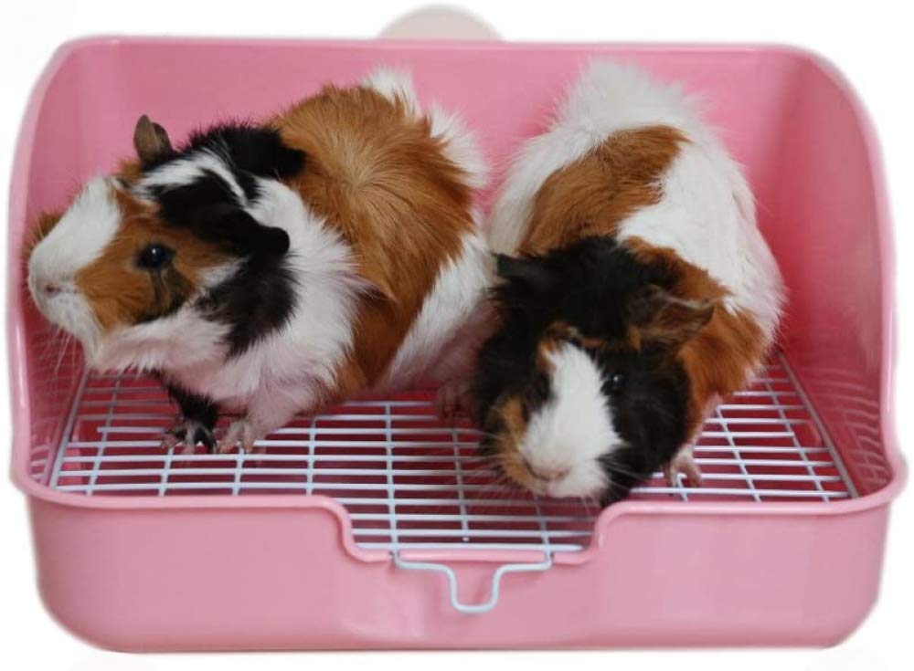 CLQ Pet Small Rat Toilette, Square Potty Trainer Ecke Wurf Bettwäsche Box Pet Pan Für Kleintier/Kaninchen/Meerschweinchen/Frettchen