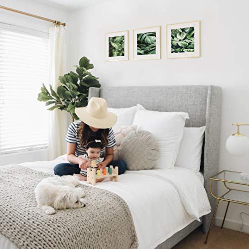 Homeforia 16X16 Inch Square Picture Frame - 16 X 16 Frame Matted To 12X12 - Standard Square Photo Frames For 12 X 12 Picture- 12X12 Mat - Tempered Glass - Wall Hook Included - Set Of 1 – Gold #TOP2