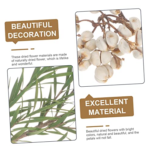 Material de Flores Secas para Manualidades y Decoración miniatura 5