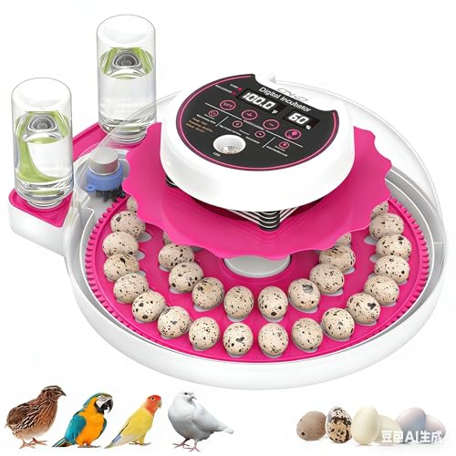 Quail Egg Incubator for Hatching Eggs with Automatic Egg Turning and Humidity Control, 40 Quail Eggs Capacity Brooder Poultry Incubators, Also for Partridge, Parrot, Pigeon, and Other Types of Bird