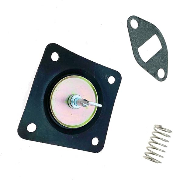 Fuel Pump Rebuild Kit with Spring Gasket for for Kohler