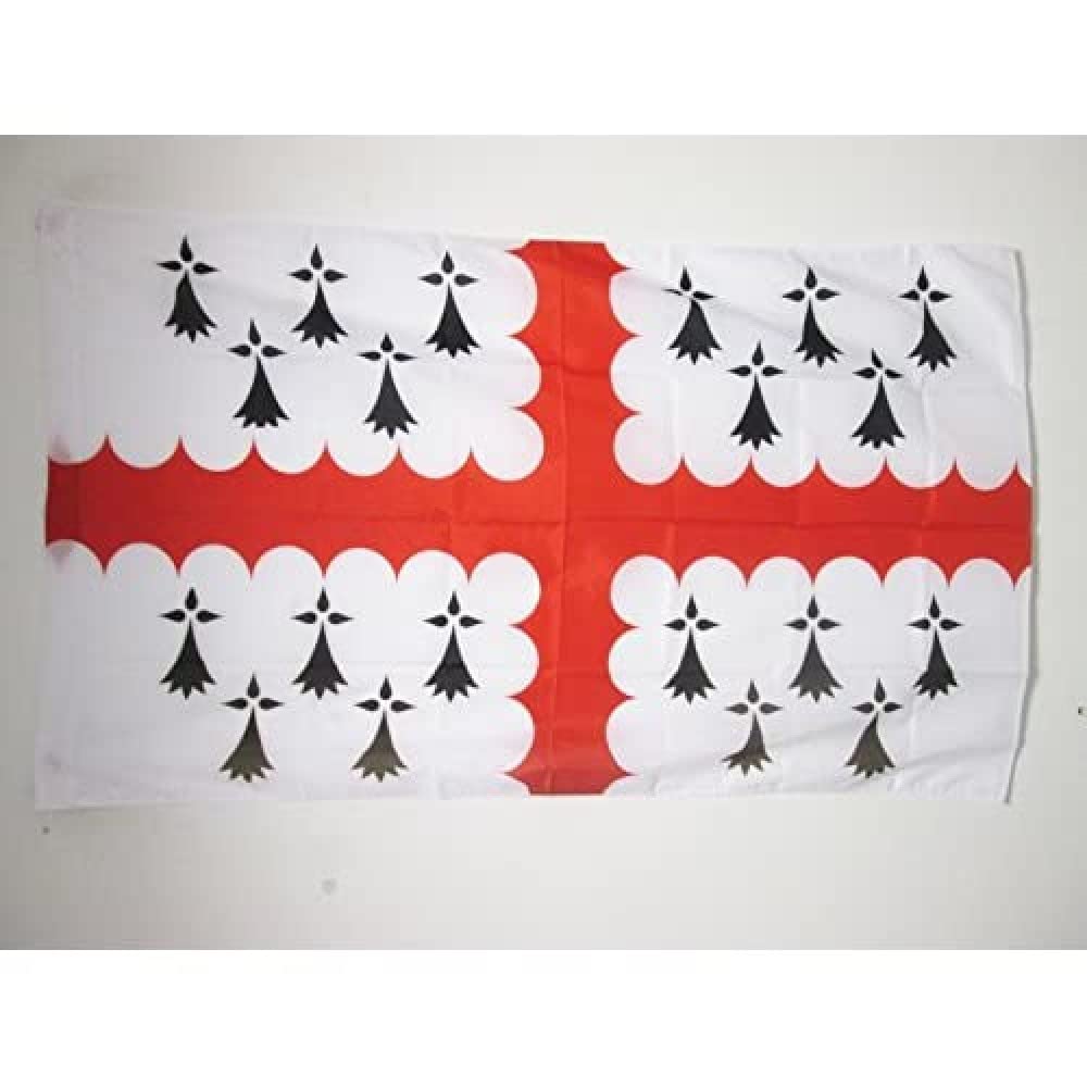 AZ FLAG - Count of Vannes Flag - 3x5 Ft - County of Vannes Banner with Sleeve - 100% Polyester - Fade Resistant - Vivid Colors - 3' x 5' Feet - 150x90 Cm