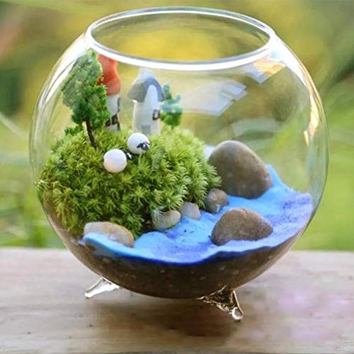 Dheera Esfagno decorativo de musgo artificial, flores frescas naturais secas, grama para decoração d