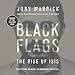 Black Flags: The Rise of ISIS