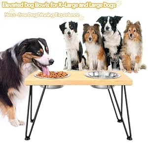 ROTHLEY-Elevated-Dog-Bowls-Raised-Dog-Bowl-Stand-for-Large-Dogs-Oak-Wood-Dog-Food-Stand-with-2-Stainless-Steel-Bowl-Set-Aesthetic-Modern-Dog-Feeding-Table-with-Non-Slip-Hairpin-Legs-for-Tall-Dogs - Cucciolini Doodles   ROTHLEY-Elevated-Dog-Bowls-Raised-Dog-Bowl-Stand-for-Large-Dogs-Oak-Wood-Dog-Food-Stand-with-2-Stainless-Steel-Bowl-Set-Aesthetic-Modern-Dog-Feeding-Table-with-Non-Slip-Hairpin-Legs-for-Tall-Dogs