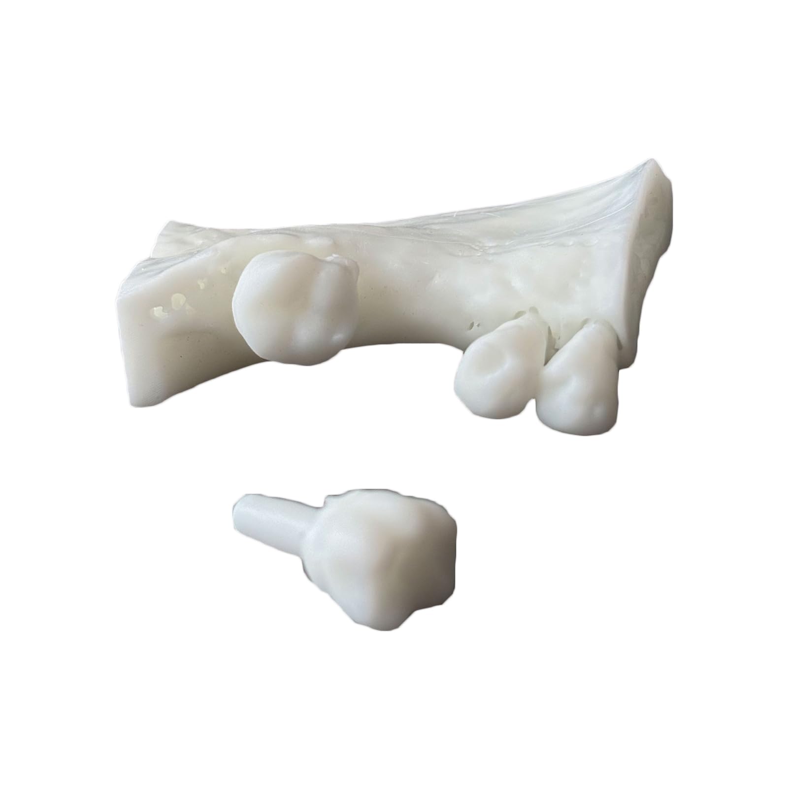 Modello di Pratica per impianto Dentale - Modello di impianto in Osso alveolare simulato - per Studenti di odontoiatria e Strumento di Formazione