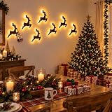 LED Reindeer Wall Decorations Festive Christmas Lighting for Indoor Display