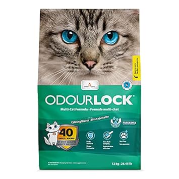 Intersand, Odourlock, Mineral Cat Litter, Calming Breeze, 12-kg