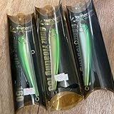 訳有品 テイル ガンズフローティング160 60g KIWカラー 3個