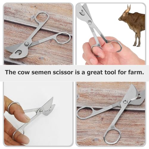 Ciseaux à semence de vache NUOBESTY en acier inoxydable robuste style silver