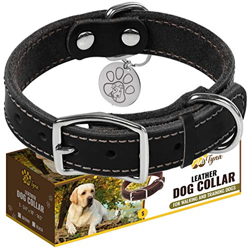 Leather Dog Collar for Puppy and Small Dogs - Heavy Duty Dog Collars with Durable Metal Hardware & Double D-Ring - Unique Name Tag Included (S: ¾ Width / 10