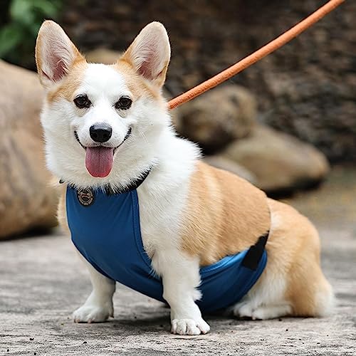 Barriga Cachorro | Filhote cachorro Cueca Masculino - Envoltórios cachorro macho com couro macio e m