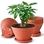 Pottery Red