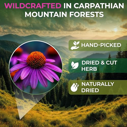 Image of 4 oz. Dried Echinacea Herb Herbal Tea (Echinacea purpure) - 113g Equinacea Herb Tea