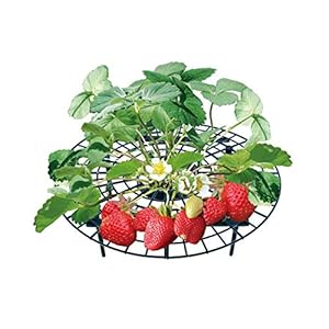 UPP Aardbevroren set, verstelbare fruitrijper van kunststof, klimhulp voor aardbeien, groenten en bloemen, natuurlijke slakkenbescherming, aardbeiroosters beschermen tegen rot en schimmel, 20 stuks