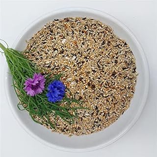 Bird-Box Sperlingspapageienfutter Spezial Inhalt 2,5 kg product image