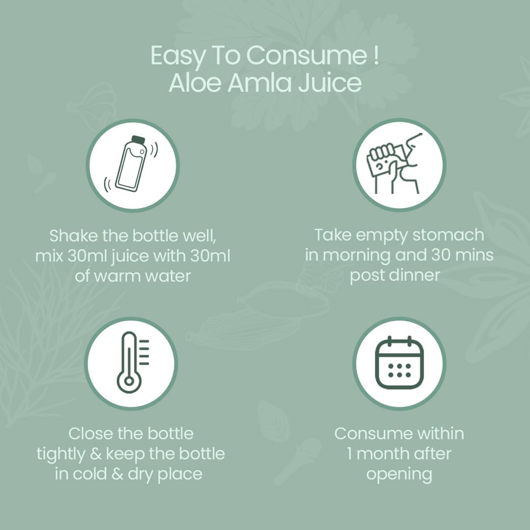 Krishna's Aloe Vera Amla Mix Juice - 500 ml | Una mezcla perfecta para un cuerpo saludable | Para cabello sano, piel, digestión e inmunidad