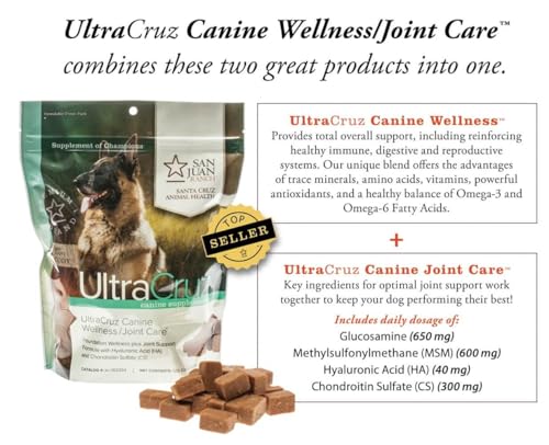 Image of UltraCruz Canine Wellness /Joint Care, 120 Count