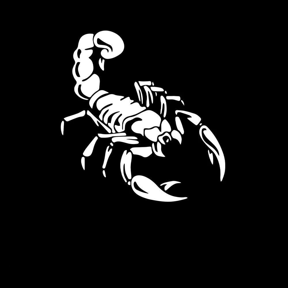 Cartoon Scorpion Auto Sticker Decal Car Styling Body Cool Covers Black Silver(White,XL 28cmX28cm)