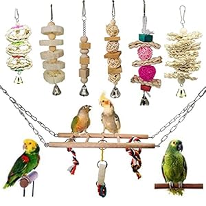 Vogelspeelgoed 7 stks vogelspeelgoed papegaai speelgoed natuurlijke houten kooi speelgoed set met originele kleur voor…