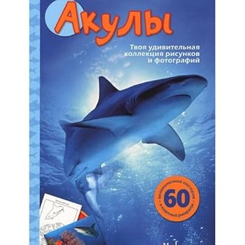 Paperback Akuly Book