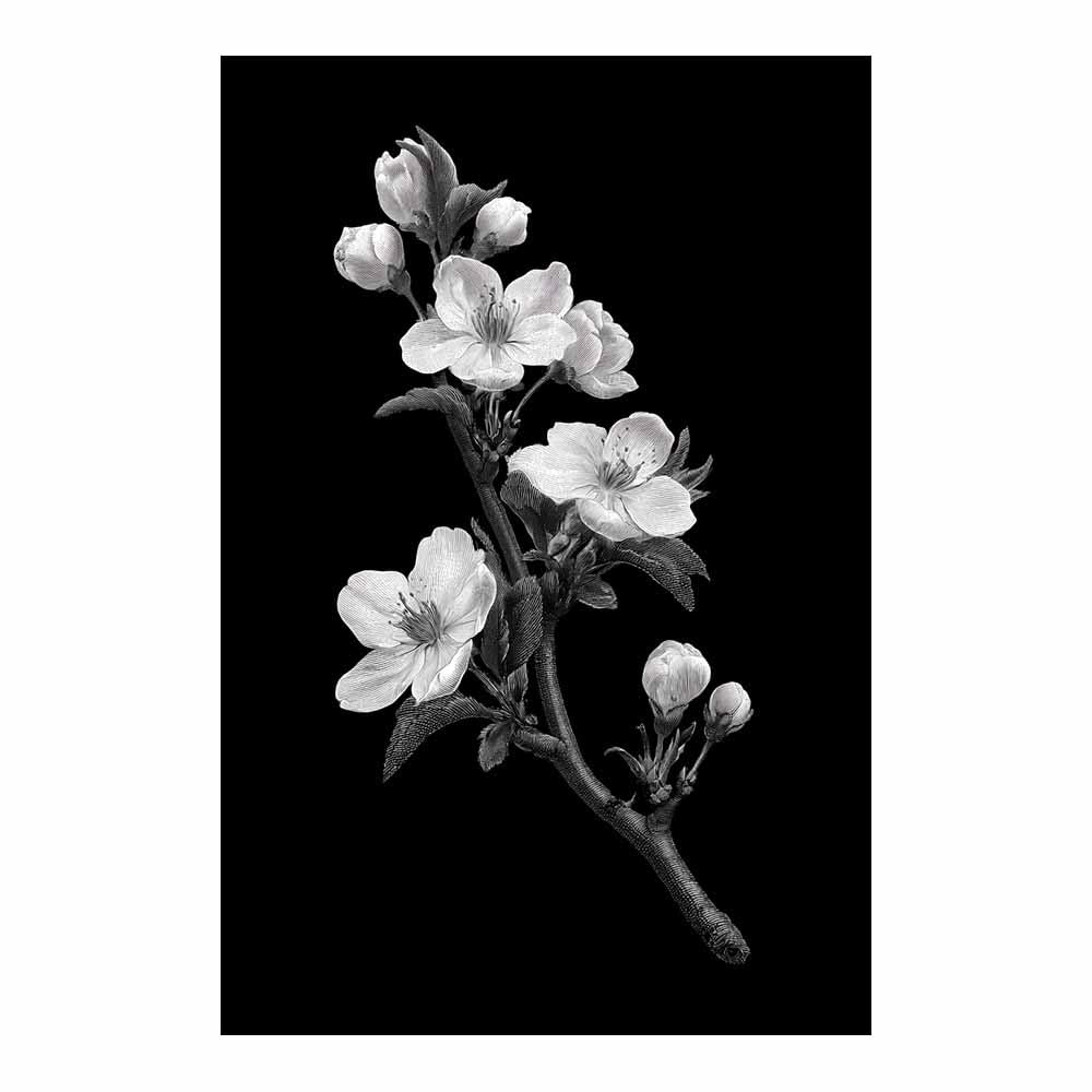 HOQIU Black Grey And White Wall Art Vintage blossoms sketch canvas wall art, painting and decor, for Living Room Bedroom Home Decoration(Multicolor)-60x80cm Unframed
