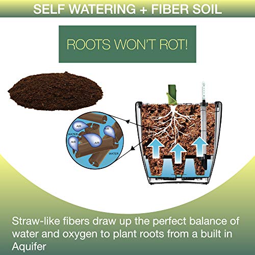 Window Garden Aquaphoric Self Watering Planter (7”) + Fiber Soil = Foolproof Indoor Garden. Decorative Planter Pot for House Plants, Flowers, Herbs, Violets, Succulents. Easy Looks Great.