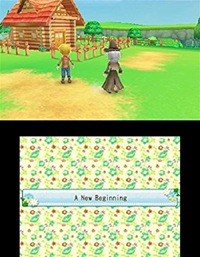 Harvest Moon A New Begining Jeu 3DS - vue 4