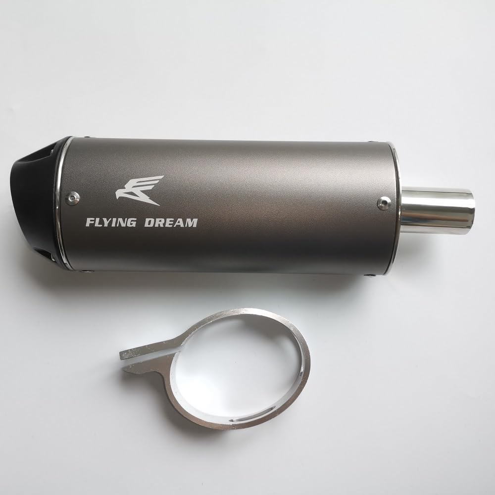 Dreammotion Silenziatore di scarico per moto, 28 mm 38 mm per Dirt Pit Bike ATV motocross Apollo Honda Yamaha 125 cc 140 cc 150 cc 160 cc 190 cc (28 mm)