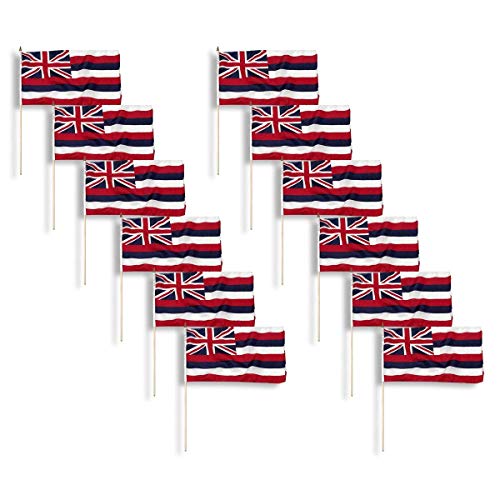 Hawaii Flag 12 x 18 inch (12 PK)