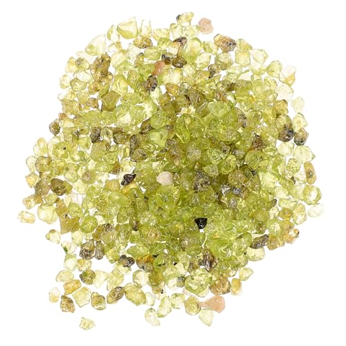 LIOOBO 1バッグ 橄? の装飾用 水槽や 用プターにな 然 の 景 演出する め